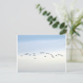 渡り鳥 ポストカード (スタンド正面)