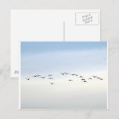 渡り鳥 ポストカード (正面/裏面)