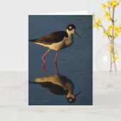 渡る鳥の黒ネックの支柱の水鳥の浜鳥 カード (黄色い花)