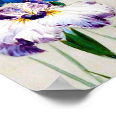 渡辺聖亭、アイリス ポスター (角)