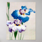 渡辺聖亭、アイリス ポスター (正面)
