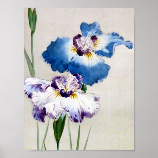 渡辺聖亭、アイリス ポスター (正面)