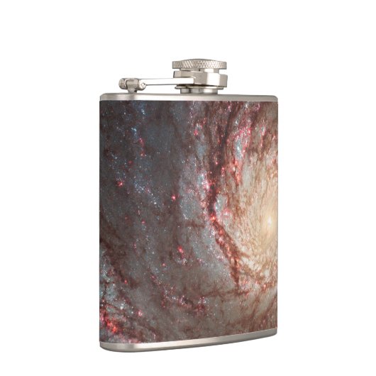 渦の銀河系 フラスク (右)