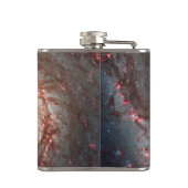 渦の銀河系 フラスク (裏面)