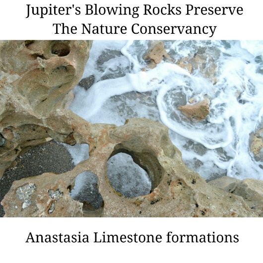 渦巻き海吹の岩の木星フロリダ コーヒーマグカップ