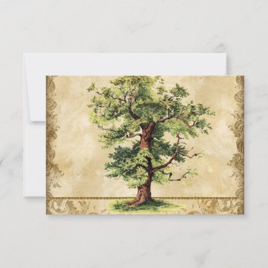 渦巻のエッチングの羊皮紙ヴィンテージのカシの生命の樹 出欠カード (正面)