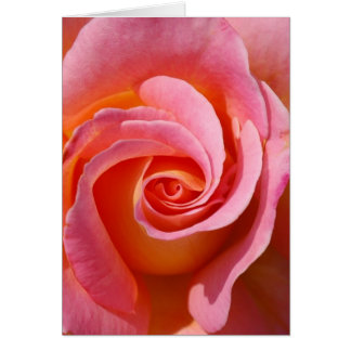 渦巻は上がりました