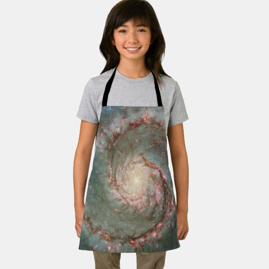渦銀河系 エプロン (インサイチュ)
