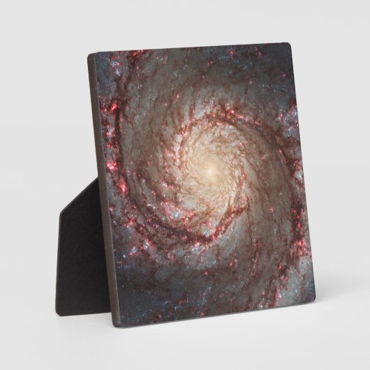 渦銀河系 フォトプラーク (正面)