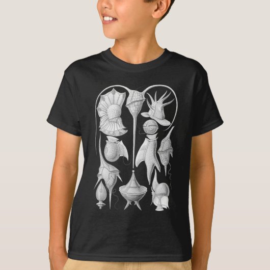 渦鞭毛藻 Tシャツ (正面)