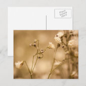 温かいセピア調ハガキで閉じるワイルドフラワー ポストカード (正面/裏面)