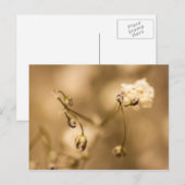 温かいセピア調ハガキで閉じるワイルドフラワー ポストカード (正面/裏面)