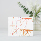 温かいゼリー魚 ポストカード (スタンド正面)