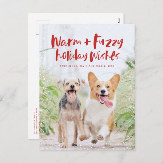 温かいファジーの願い休日ペットの写真はがき シーズンポストカード (正面/裏面)