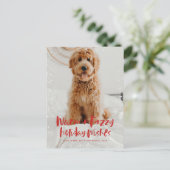 温かいファジーウィッシュのペット写真はがき シーズンポストカード (スタンド正面)