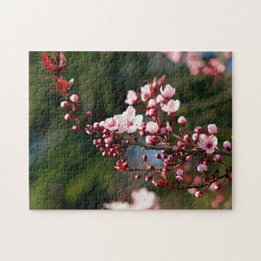 温かい夏の光に映えるピンクの花 ジグソーパズル (横)