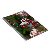 温かい夏の光に映えるピンクの花 ノートブック (右側)