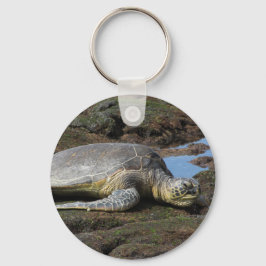 温かい岩に眠る本能 キーホルダー