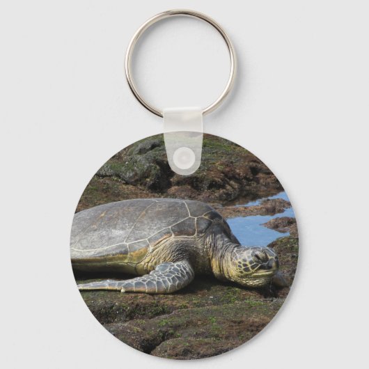 温かい岩に眠る本能 キーホルダー (正面)