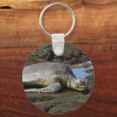 温かい岩に眠る本能 キーホルダー (正面)