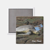 温かい岩に眠る本能 マグネット (正面/裏面)