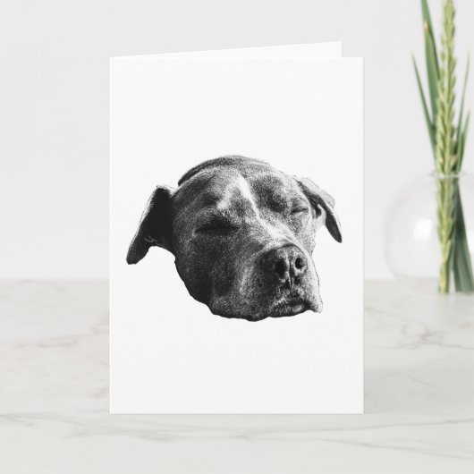 温かい言葉、優しい影 カード (正面)