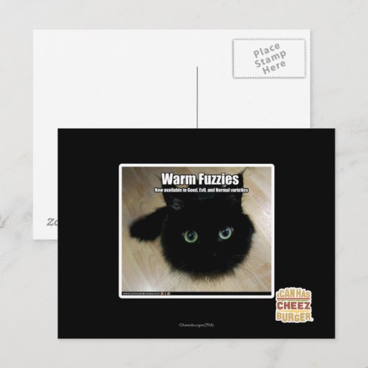 温かい霧 ポストカード (正面/裏面)