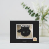 温かい霧 ポストカード (スタンド正面)