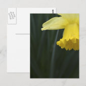 温かみを求めるポストカード ポストカード (正面/裏面)