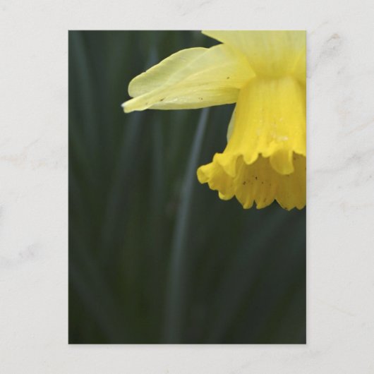 温かみを求めるポストカード ポストカード (正面)