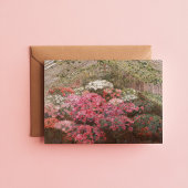 温室つつじ | マリーアントワネットマルコット カード