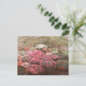 温室つつじ | マリーアントワネットマルコット ポストカード (スタンド正面)