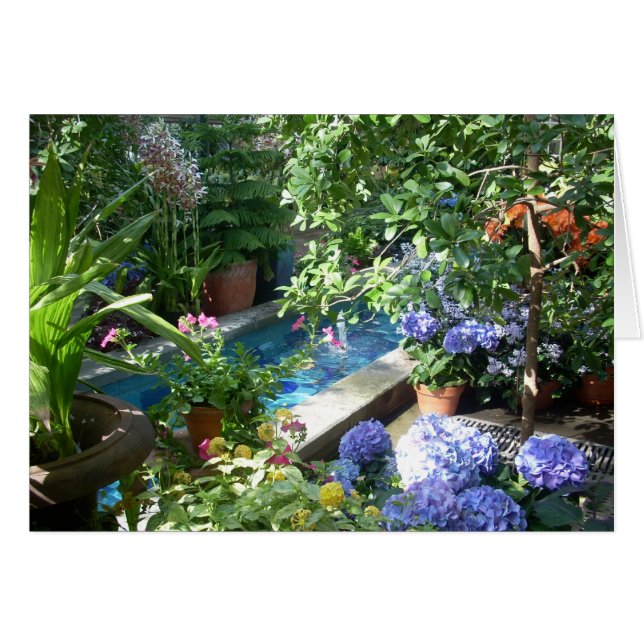 温室によっては3つが開花します (正面横)