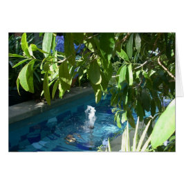 温室によっては5つが開花します