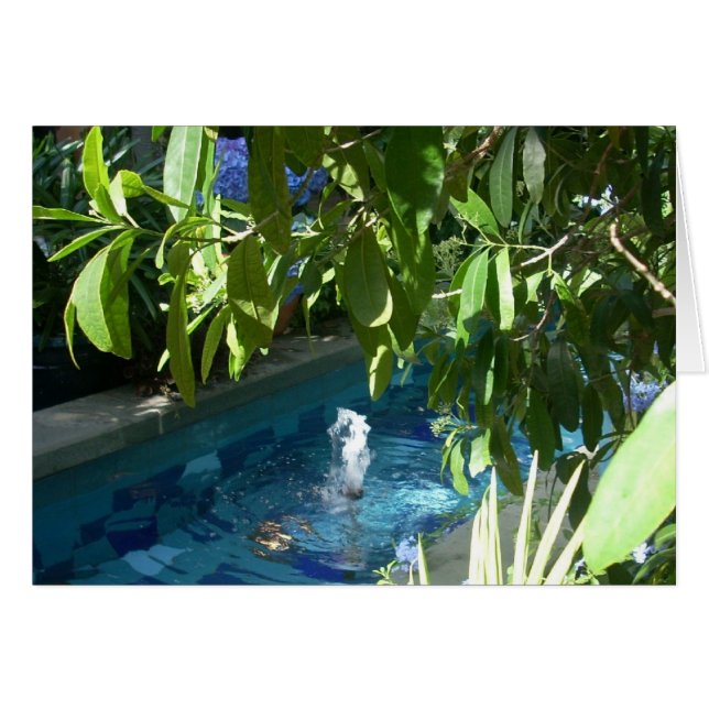 温室によっては5つが開花します (正面横)