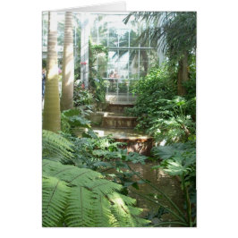 温室によっては7つが開花します