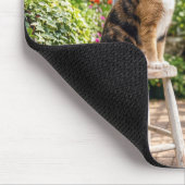 温室のスツールに座る三毛猫 マウスパッド (コーナー)