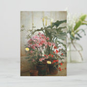 温室の側面 | ジョージ・コクラン・ラムディン (スタンド正面)