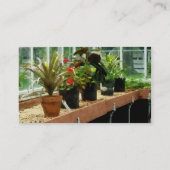 温室の植物 名刺 (裏面)