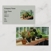 温室の植物 名刺 (正面/裏面)