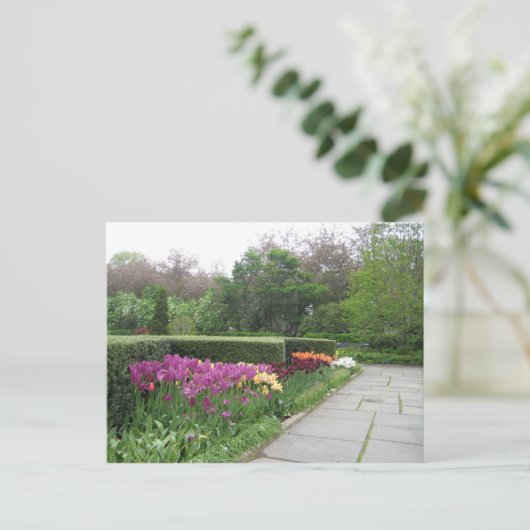 温室ガーデン(ニューヨーク市中央公園) ポストカード (スタンド正面)