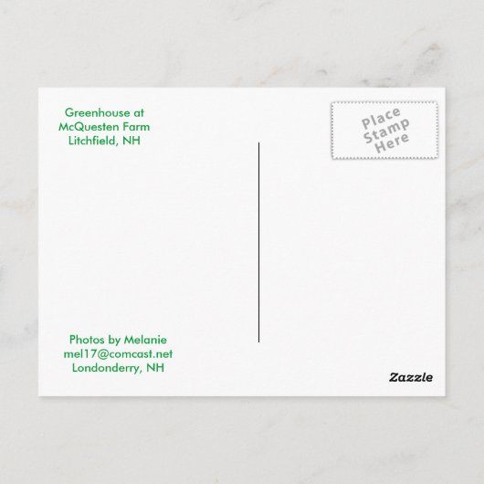 温室用はがき ポストカード (裏面)