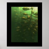 温室 ポスター (正面)