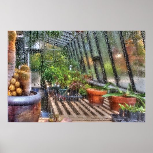 温室 – 温室の窓 ポスター (正面)