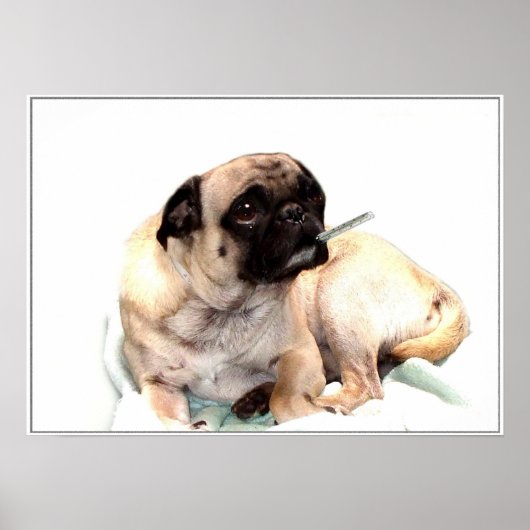 温度計のポスターで吐き気を催す ポスター (正面)