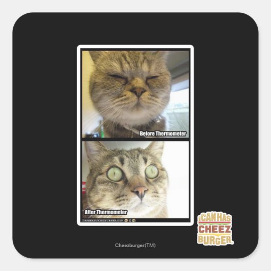 温度計 スクエアシール (正面)