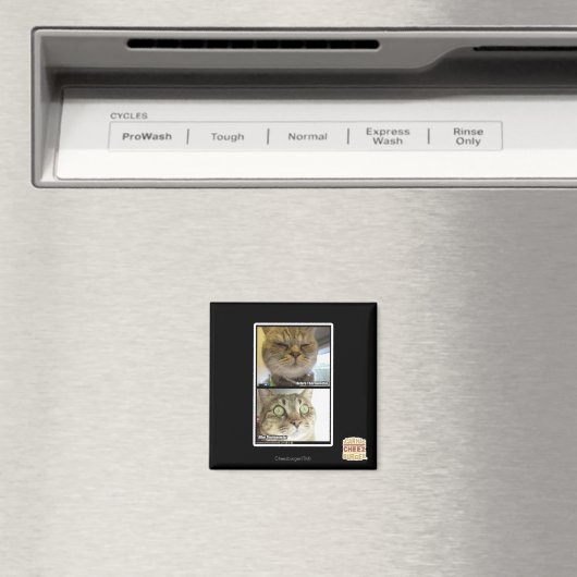 温度計 マグネット (インサイチュ (食洗機))