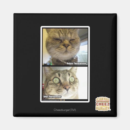 温度計 マグネット (正面)