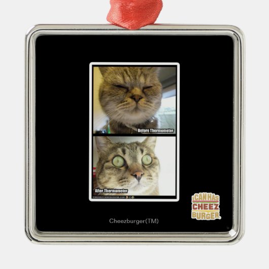 温度計 メタルオーナメント (正面)