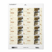 温度計 ラベル (フルシート)